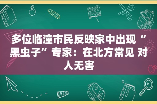 多位临潼市民反映家中出现“黑虫子”专家：在北方常见 对人无害