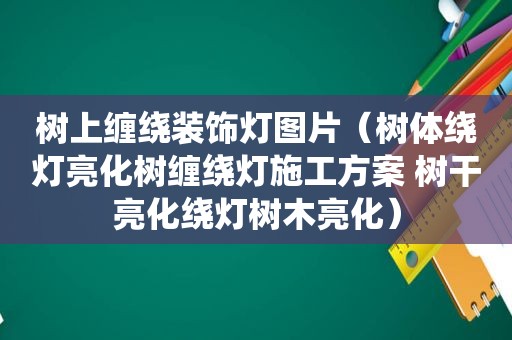 树上缠绕装饰灯图片（树体绕灯亮化树缠绕灯施工方案 树干亮化绕灯树木亮化）