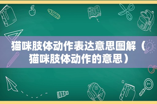 猫咪肢体动作表达意思图解（猫咪肢体动作的意思）