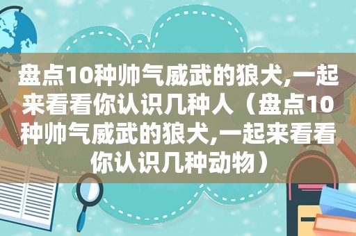 盘点10种帅气威武的狼犬,一起来看看你认识几种人（盘点10种帅气威武的狼犬,一起来看看你认识几种动物）