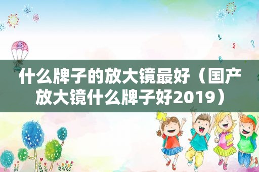 什么牌子的放大镜最好（国产放大镜什么牌子好2019）