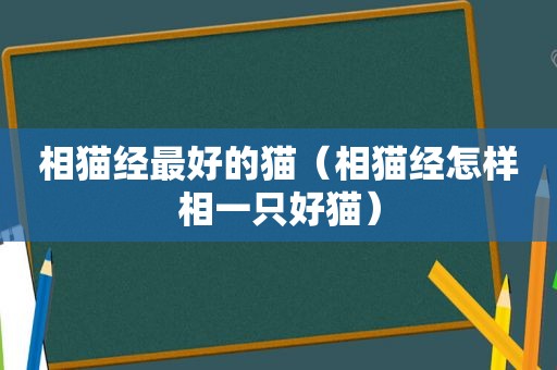 相猫经最好的猫（相猫经怎样相一只好猫）