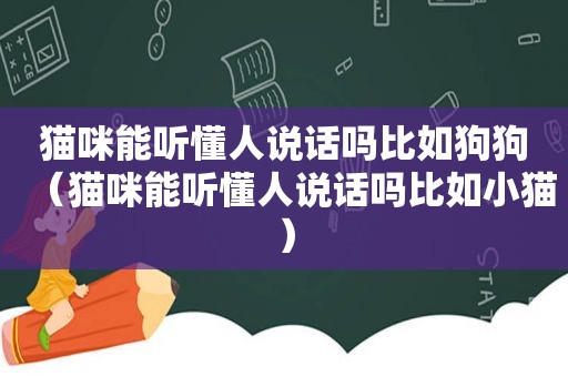 猫咪能听懂人说话吗比如狗狗（猫咪能听懂人说话吗比如小猫）