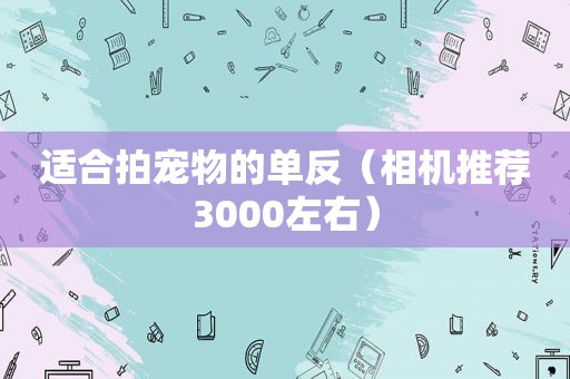 适合拍宠物的单反（相机推荐3000左右）