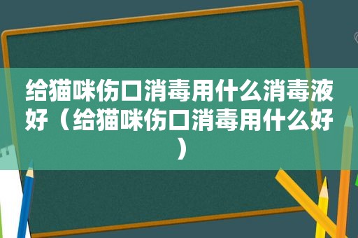 给猫咪伤口消毒用什么消毒液好（给猫咪伤口消毒用什么好）