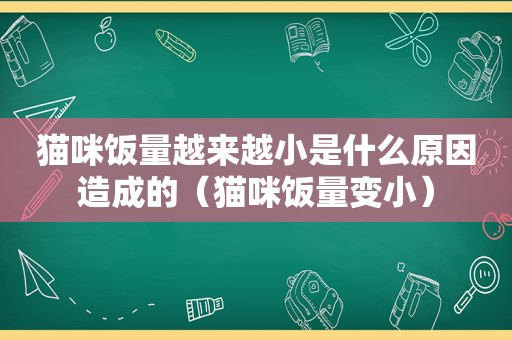 猫咪饭量越来越小是什么原因造成的（猫咪饭量变小）