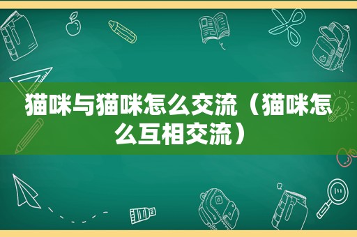 猫咪与猫咪怎么交流（猫咪怎么互相交流）