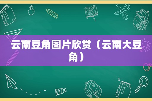 云南豆角图片欣赏（云南大豆角）