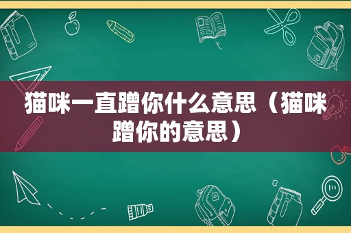 猫咪一直蹭你什么意思（猫咪蹭你的意思）