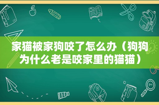 家猫被家狗咬了怎么办（狗狗为什么老是咬家里的猫猫）