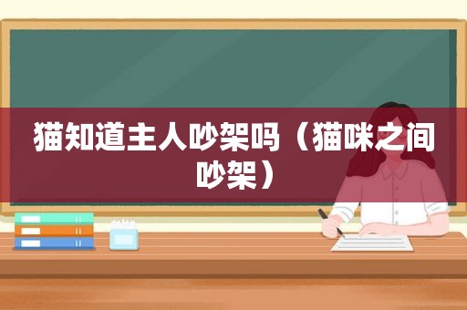 猫知道主人吵架吗（猫咪之间吵架）