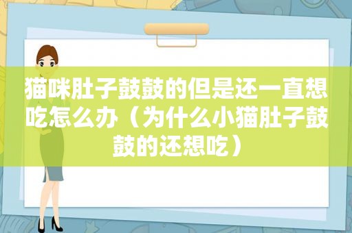 猫咪肚子鼓鼓的但是还一直想吃怎么办（为什么小猫肚子鼓鼓的还想吃）