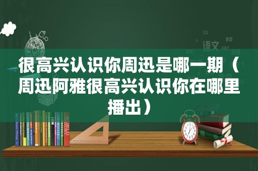 很高兴认识你周迅是哪一期（周迅阿雅很高兴认识你在哪里播出）