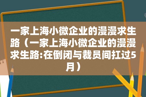 一家上海小微企业的漫漫求生路（一家上海小微企业的漫漫求生路:在倒闭与裁员间扛过5月）