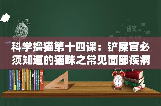 科学撸猫第十四课：铲屎官必须知道的猫咪之常见面部疾病