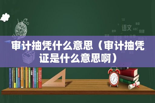 审计抽凭什么意思（审计抽凭证是什么意思啊）