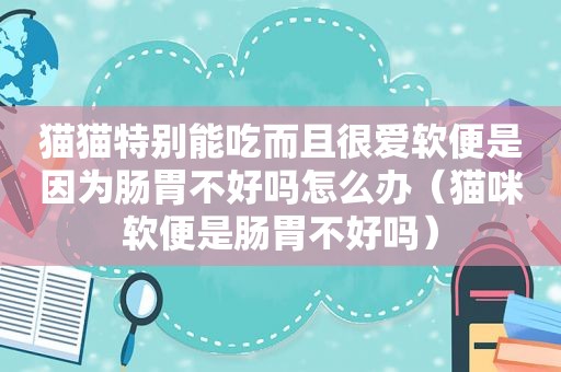 猫猫特别能吃而且很爱软便是因为肠胃不好吗怎么办（猫咪软便是肠胃不好吗）