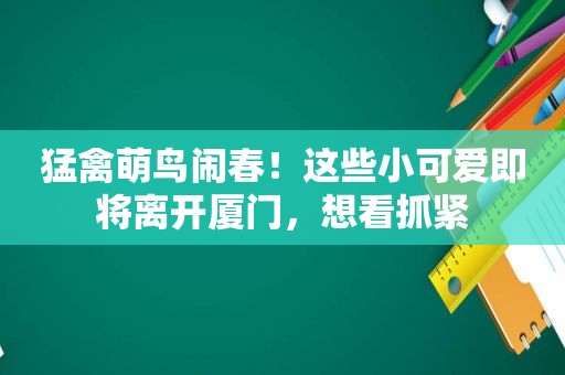 猛禽萌鸟闹春！这些小可爱即将离开厦门，想看抓紧