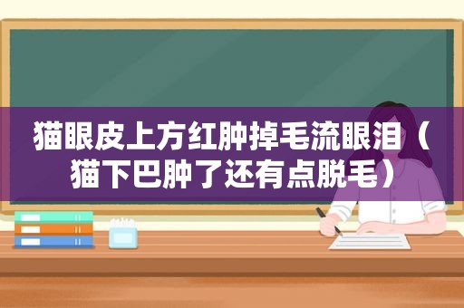 猫眼皮上方红肿掉毛流眼泪（猫下巴肿了还有点脱毛）