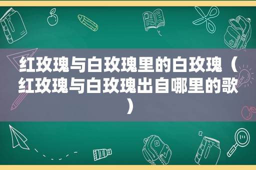 红玫瑰与白玫瑰里的白玫瑰（红玫瑰与白玫瑰出自哪里的歌）