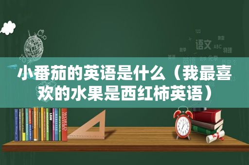 小番茄的英语是什么（我最喜欢的水果是西红柿英语）