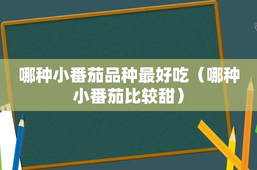 哪种小番茄品种最好吃（哪种小番茄比较甜）