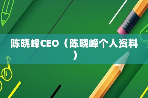 陈晓峰CEO（陈晓峰个人资料）