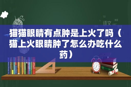 猫猫眼睛有点肿是上火了吗（猫上火眼睛肿了怎么办吃什么药）