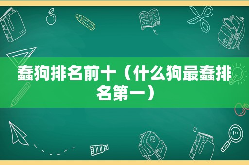 蠢狗排名前十（什么狗最蠢排名第一）