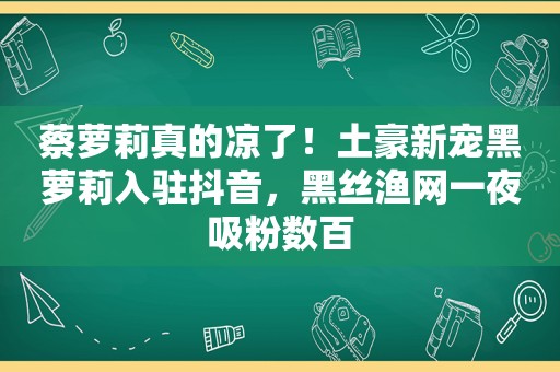 蔡萝莉真的凉了！土豪新宠黑萝莉入驻抖音，黑丝渔网一夜吸粉数百