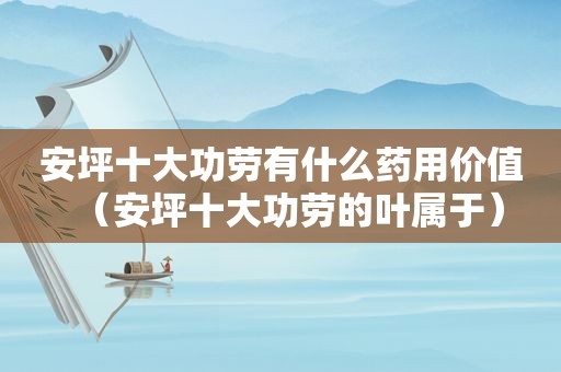 安坪十大功劳有什么药用价值（安坪十大功劳的叶属于）