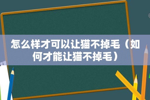 怎么样才可以让猫不掉毛（如何才能让猫不掉毛）