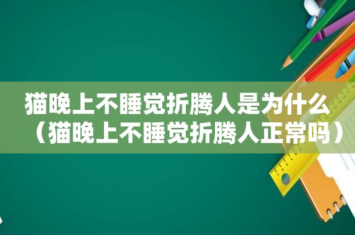 猫晚上不睡觉折腾人是为什么（猫晚上不睡觉折腾人正常吗）