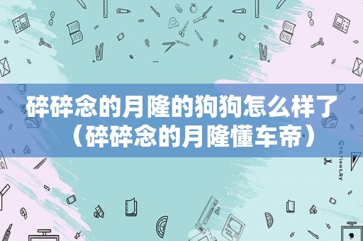 碎碎念的月隆的狗狗怎么样了（碎碎念的月隆懂车帝）