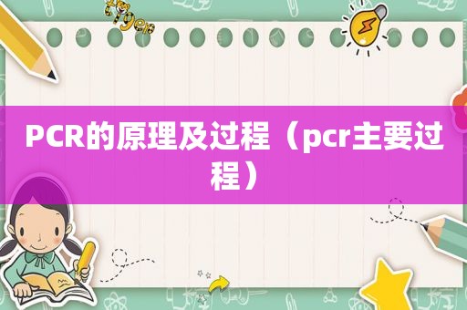 PCR的原理及过程（pcr主要过程）