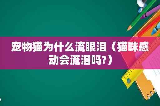 宠物猫为什么流眼泪（猫咪感动会流泪吗?）