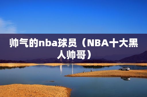 帅气的nba球员（NBA十大黑人帅哥）