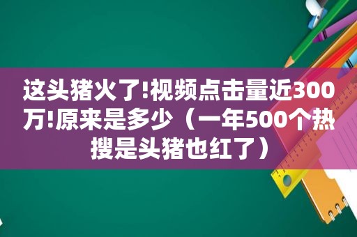 这头猪火了!视频点击量近300万!原来是多少（一年500个热搜是头猪也红了）