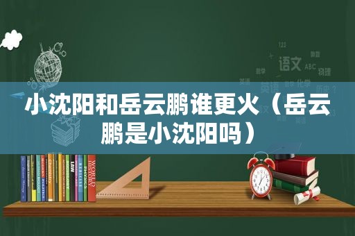 小沈阳和岳云鹏谁更火（岳云鹏是小沈阳吗）