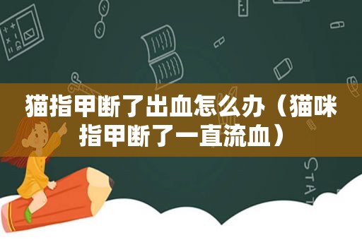 猫指甲断了出血怎么办（猫咪指甲断了一直流血）