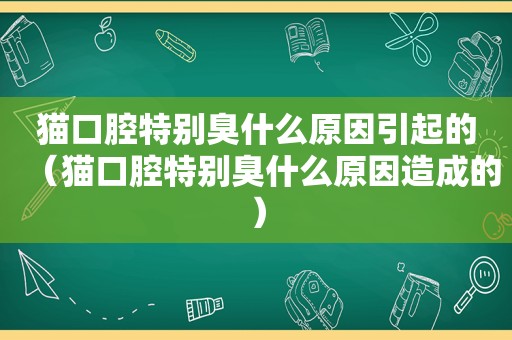 猫口腔特别臭什么原因引起的（猫口腔特别臭什么原因造成的）