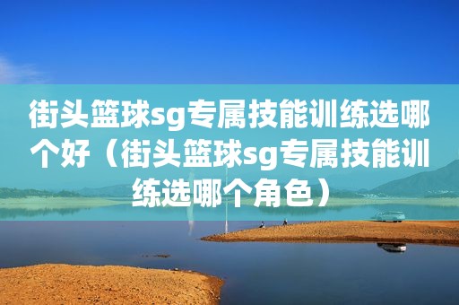 街头篮球sg专属技能训练选哪个好（街头篮球sg专属技能训练选哪个角色）