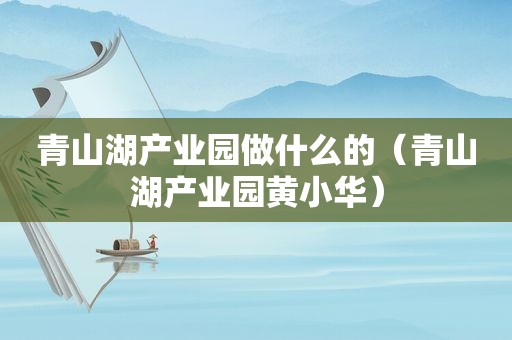 青山湖产业园做什么的（青山湖产业园黄小华）