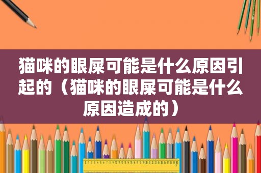 猫咪的眼屎可能是什么原因引起的（猫咪的眼屎可能是什么原因造成的）