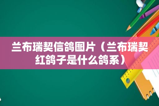 兰布瑞契信鸽图片（兰布瑞契红鸽子是什么鸽系）