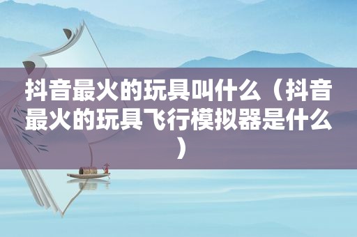 抖音最火的玩具叫什么（抖音最火的玩具飞行模拟器是什么）