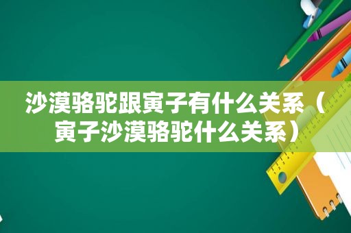 沙漠骆驼跟寅子有什么关系（寅子沙漠骆驼什么关系）