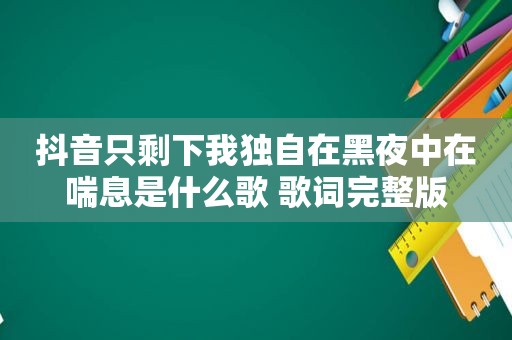 抖音只剩下我独自在黑夜中在喘息是什么歌 歌词完整版