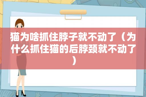 猫为啥抓住脖子就不动了（为什么抓住猫的后脖颈就不动了）