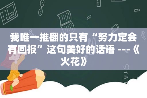 我唯一推翻的只有“努力定会有回报”这句美好的话语 ---《火花》